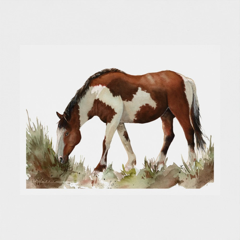 Painted Pony