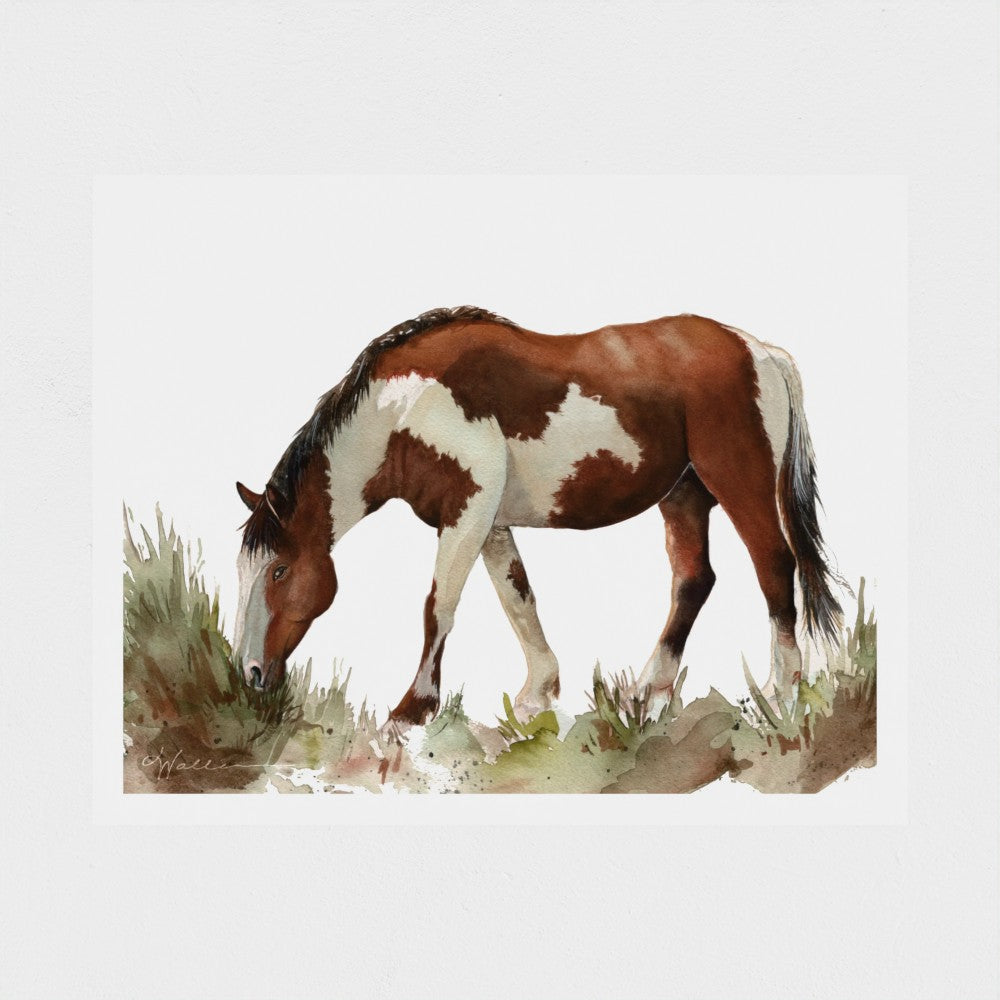 Painted Pony